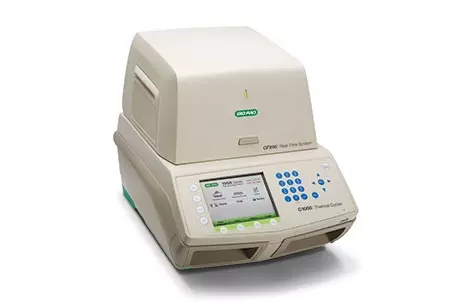 실시간 유전자 증폭검사(코로나 PCR검사)